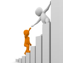 网上受骗自愿转账怎么办?快速挽回损失与防骗全攻略