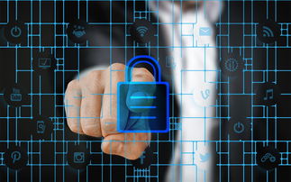 专业黑客免费接单:揭秘风险与安全选择实用指南