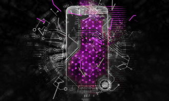 揭秘中国第一顶级黑客:探索他们的技术传奇与社会贡献